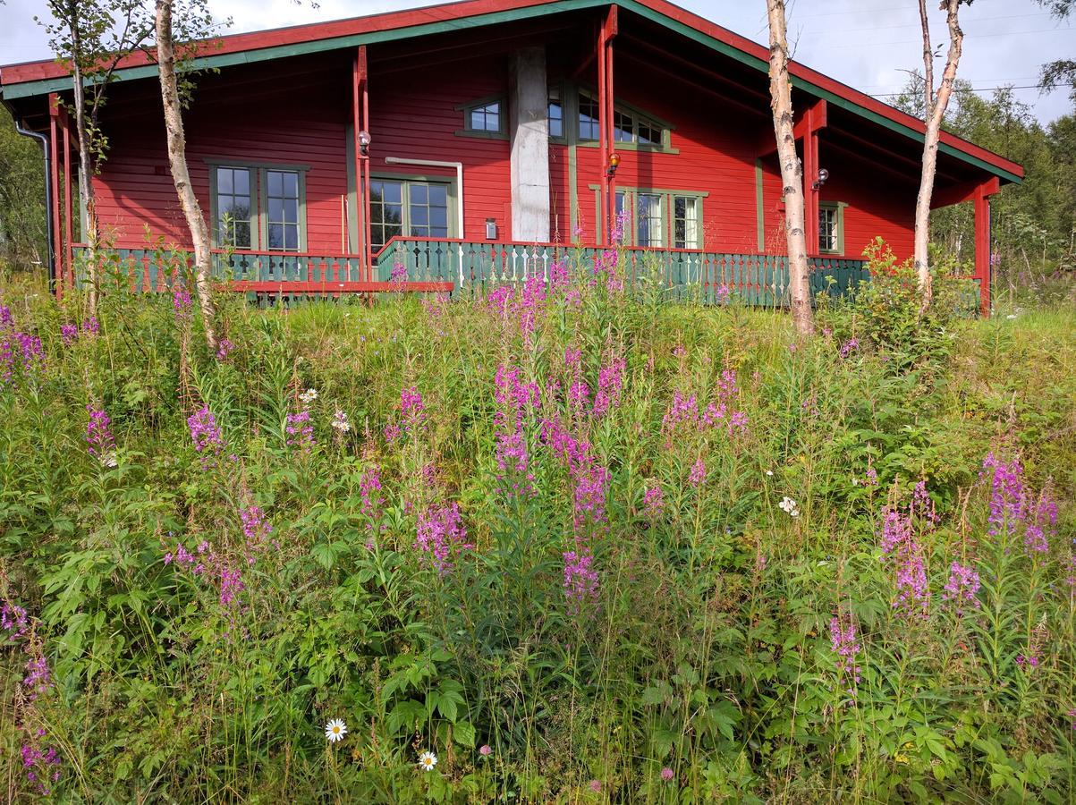 Maristuen Fjellferie Villa Borgund Ngoại thất bức ảnh